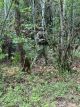 IMG 3498