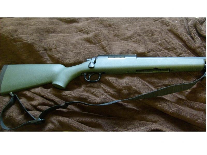 My Future Scout Rifle